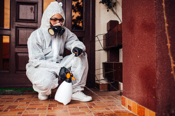 Reliable Ant Control contractor in Beverly Hills, FL by Nex Pest Control