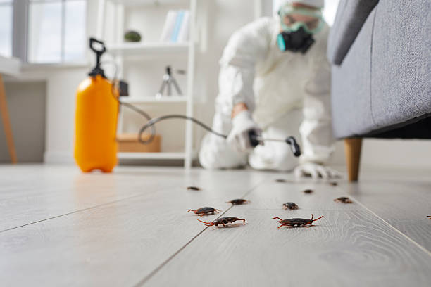 Trusted Fumigation Services service in Beverly Hills, FL - Nex Pest Control