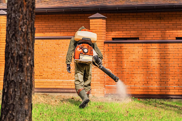 Trusted Mosquito Control service in Beverly Hills, FL - Nex Pest Control